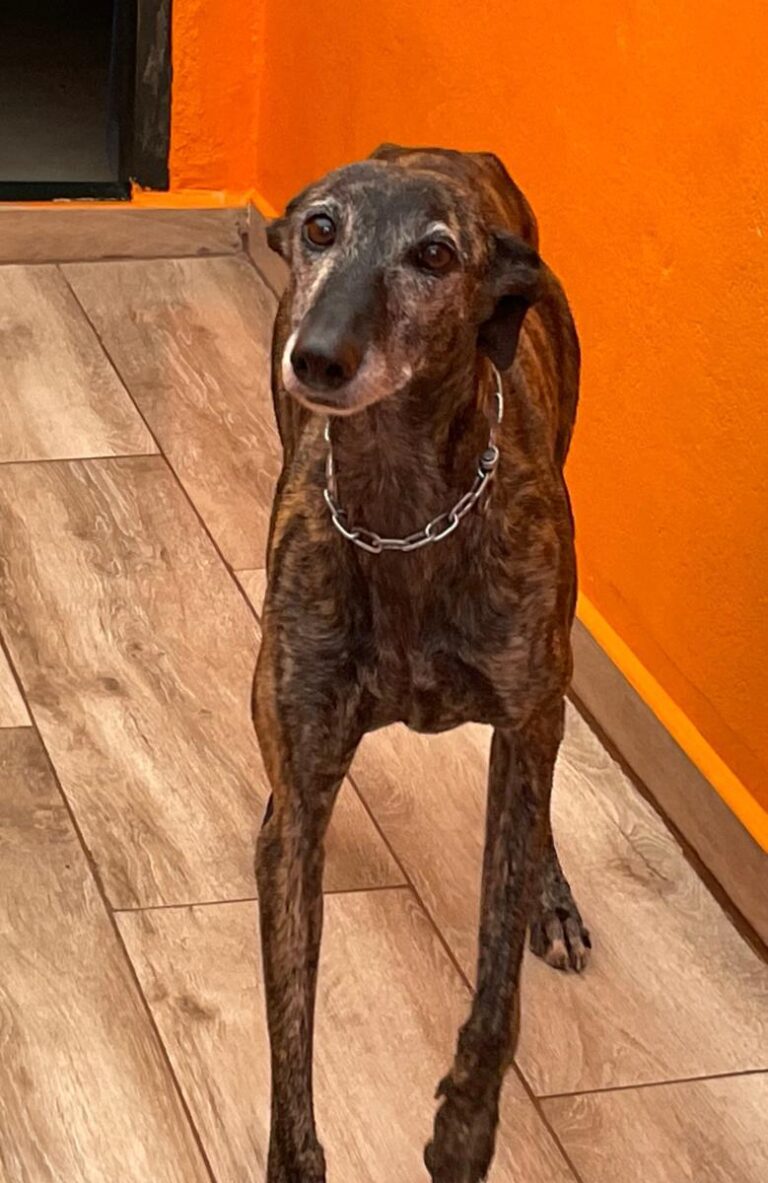 multimedia-foto90771-491-1