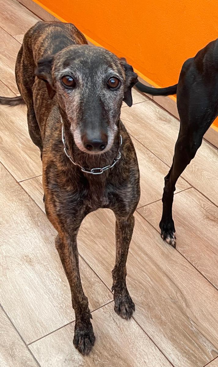 multimedia-foto90772-491-1