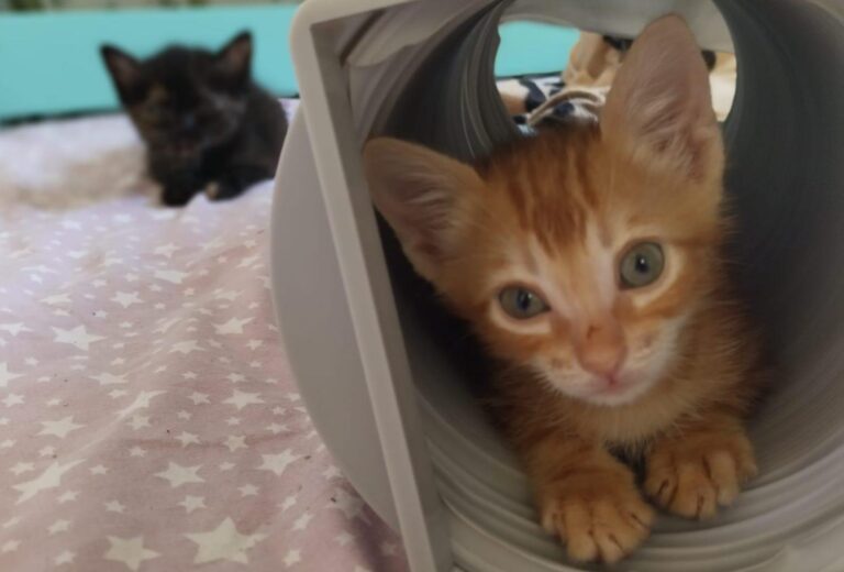 multimedia-foto90836-846-1