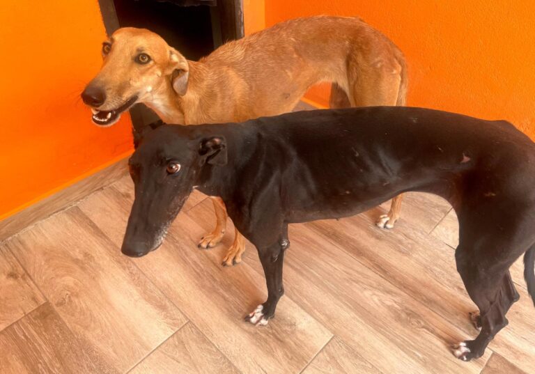 multimedia-foto90848-389-1