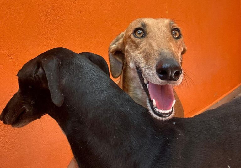 multimedia-foto90854-391-1