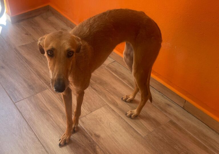 multimedia-foto90857-519-1