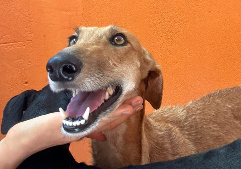 multimedia-foto90859-519-1