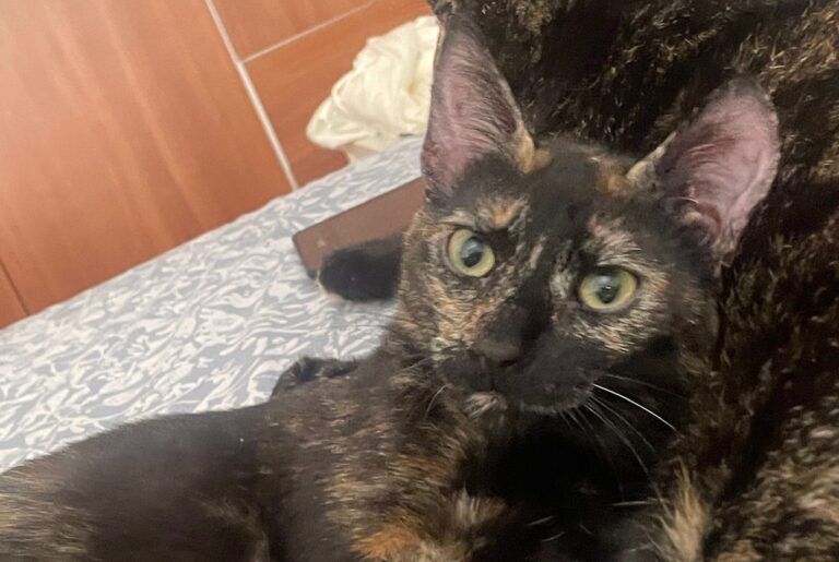 multimedia-foto90868-77-1