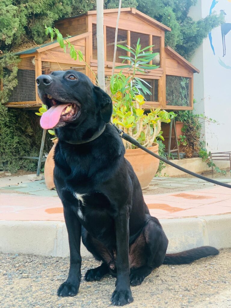 multimedia-foto90873-801-1