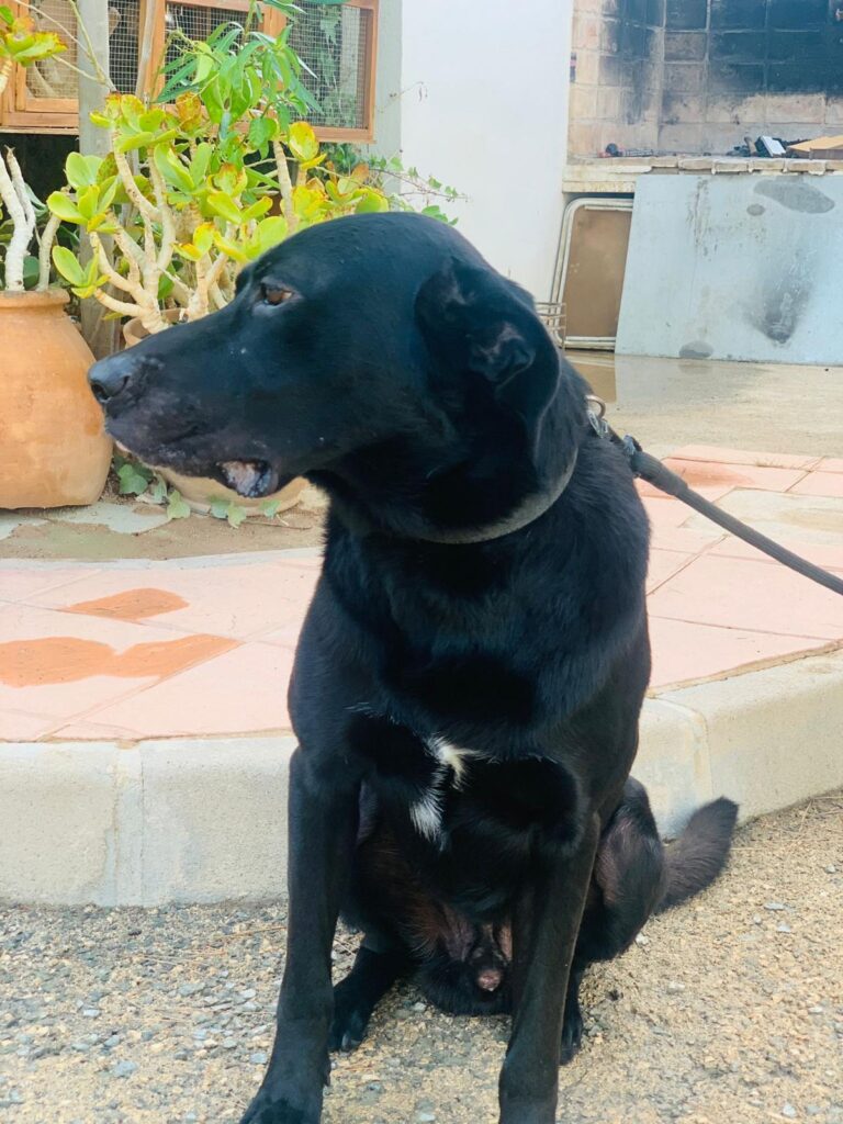 multimedia-foto90874-801-1