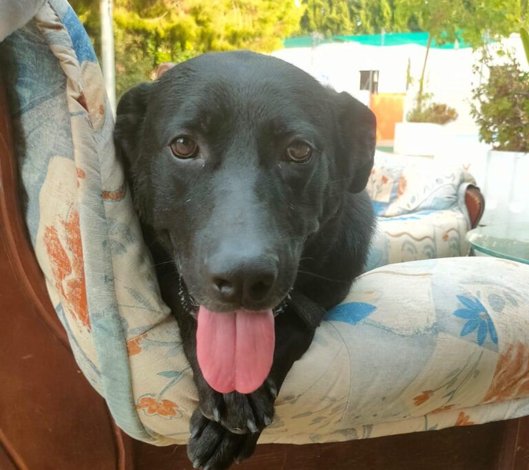 multimedia-foto90875-801-1