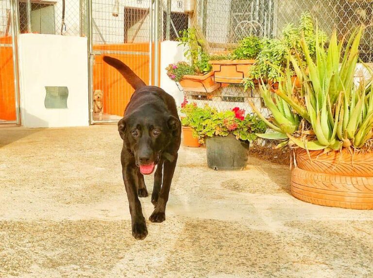 multimedia-foto90876-802-1