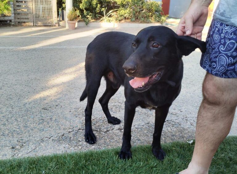 multimedia-foto90877-802-1