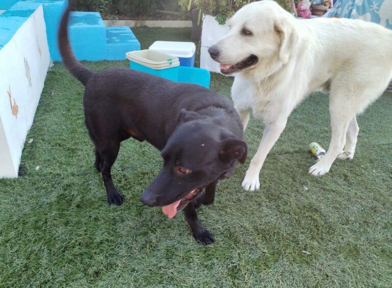 multimedia-foto90878-802-1