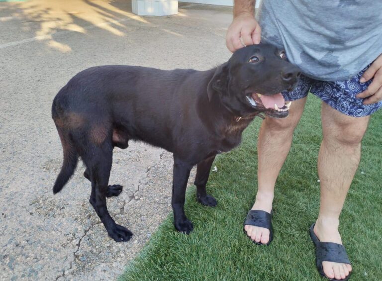 multimedia-foto90879-802-1