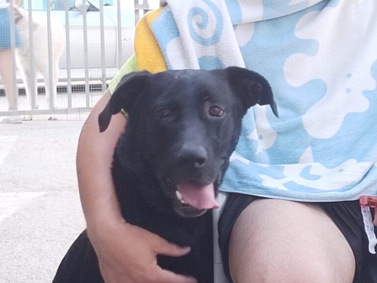 multimedia-foto90881-803-1