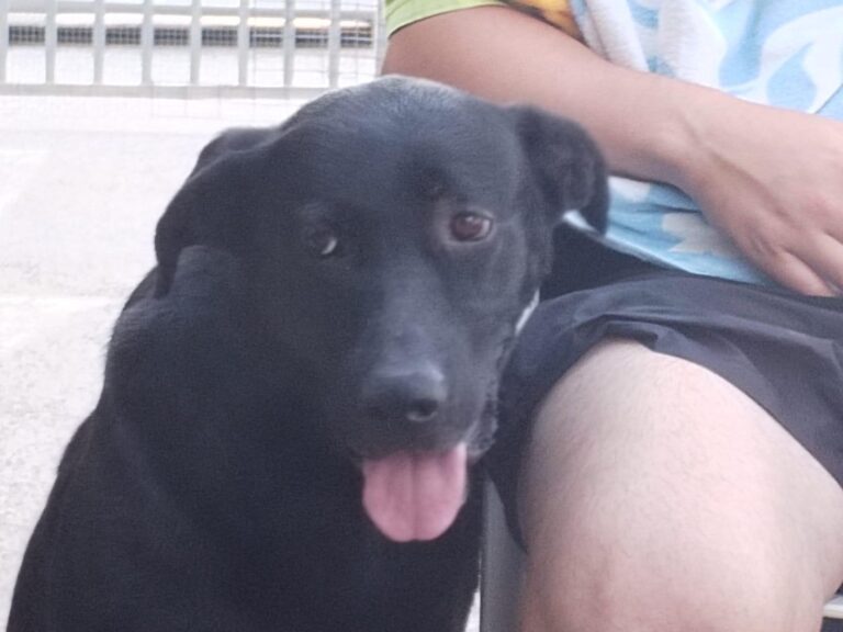 multimedia-foto90882-803-1