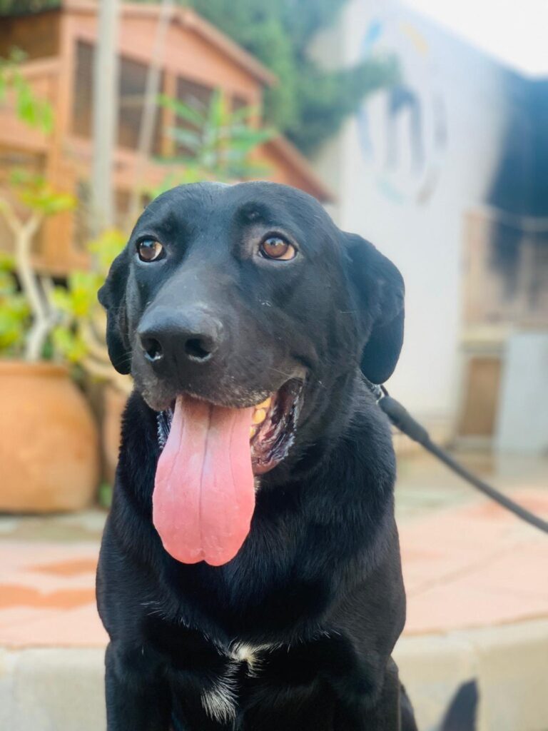 multimedia-foto90883-803-1