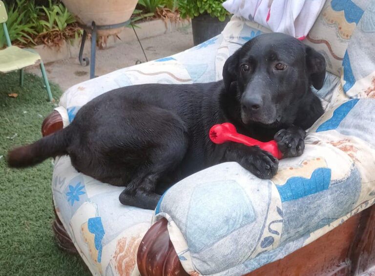 multimedia-foto90884-804-1