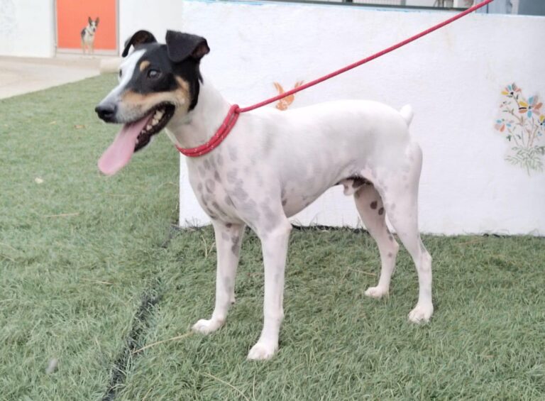 multimedia-foto90898-452-1