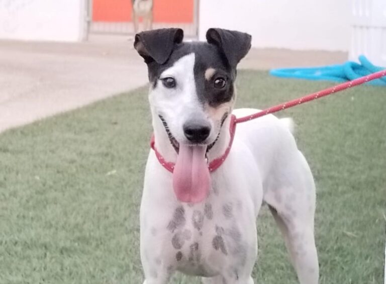 multimedia-foto90900-452-1