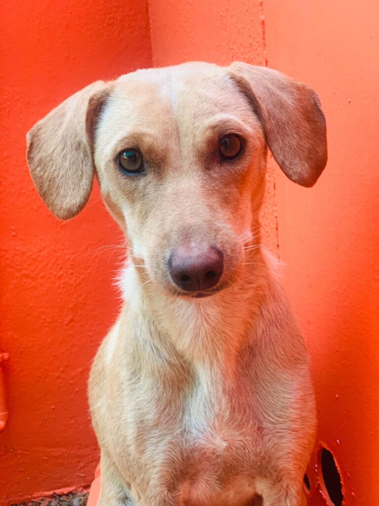 multimedia-foto90902-968-1