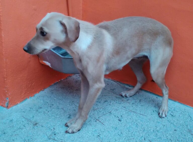 multimedia-foto90904-968-1