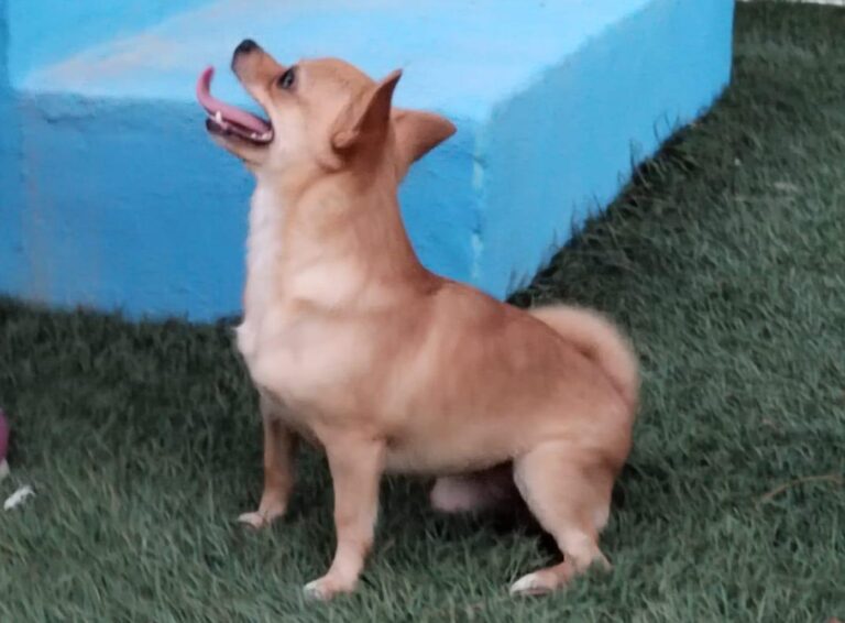 multimedia-foto90911-575-1