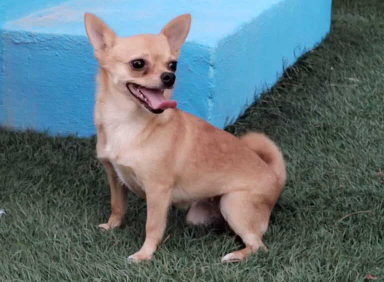 multimedia-foto90912-575-1