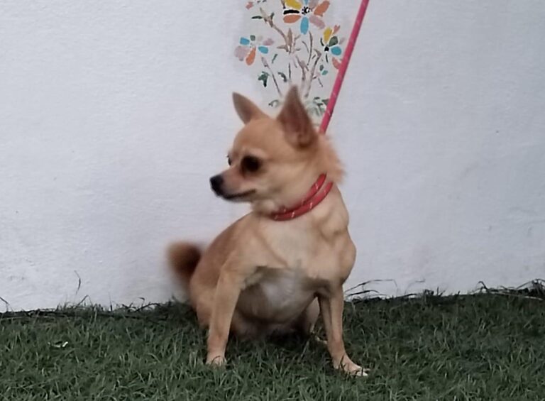 multimedia-foto90913-575-1