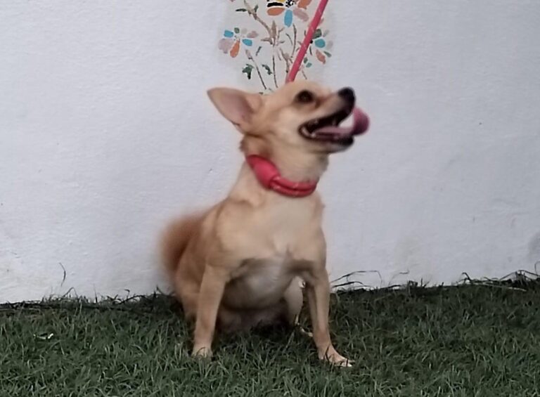 multimedia-foto90914-575-1