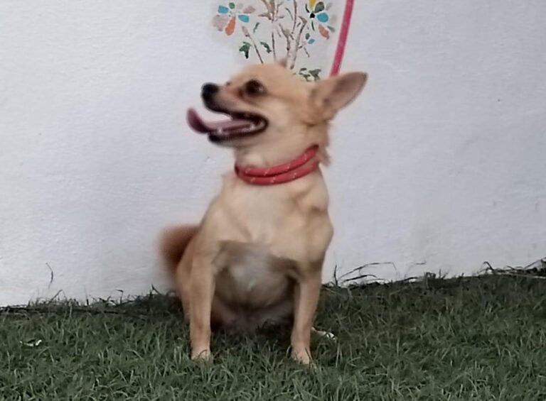 multimedia-foto90915-576-1