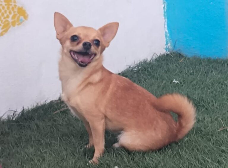 multimedia-foto90917-576-1