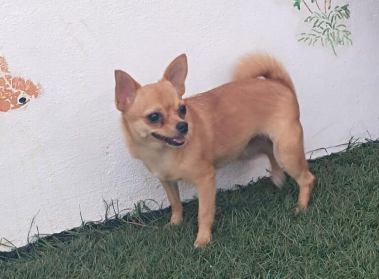 multimedia-foto90918-576-1