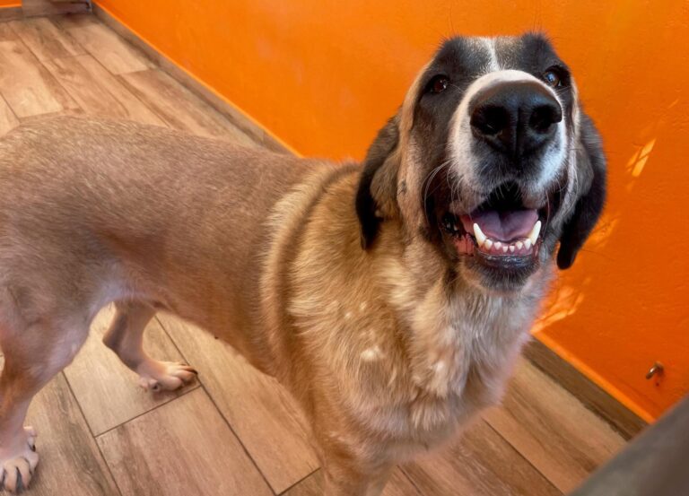 multimedia-foto90945-633-1