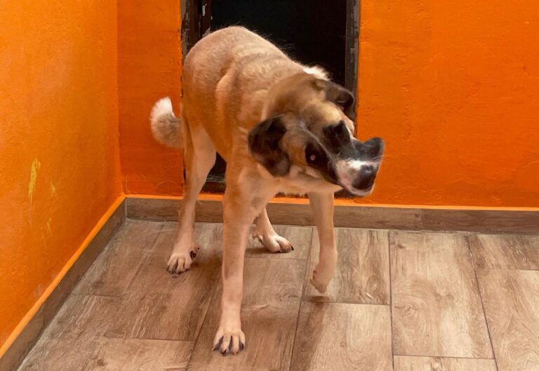 multimedia-foto90946-633-1