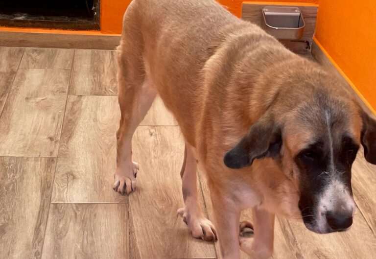 multimedia-foto90947-633-1