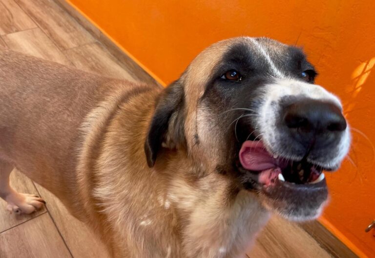 multimedia-foto90950-634-1