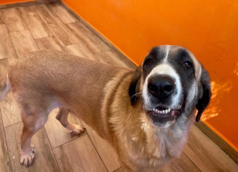 multimedia-foto90951-634-1