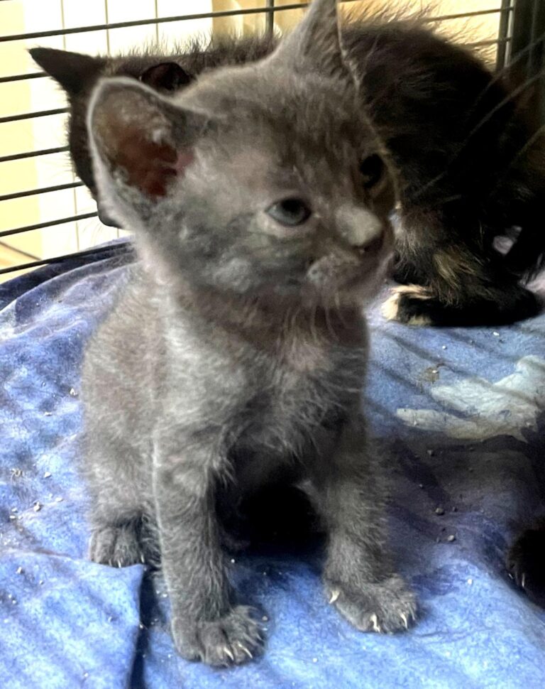 multimedia-foto90952-338-1