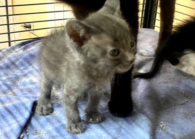 multimedia-foto90955-363-1