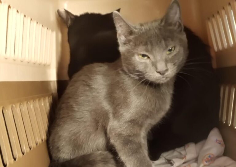 multimedia-foto90956-364-1