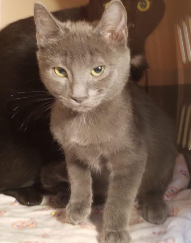 multimedia-foto90957-364-1