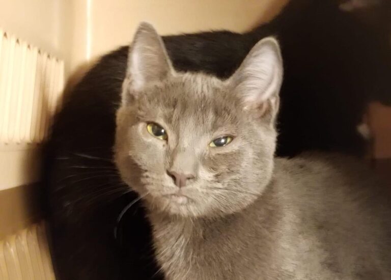 multimedia-foto90958-379-1