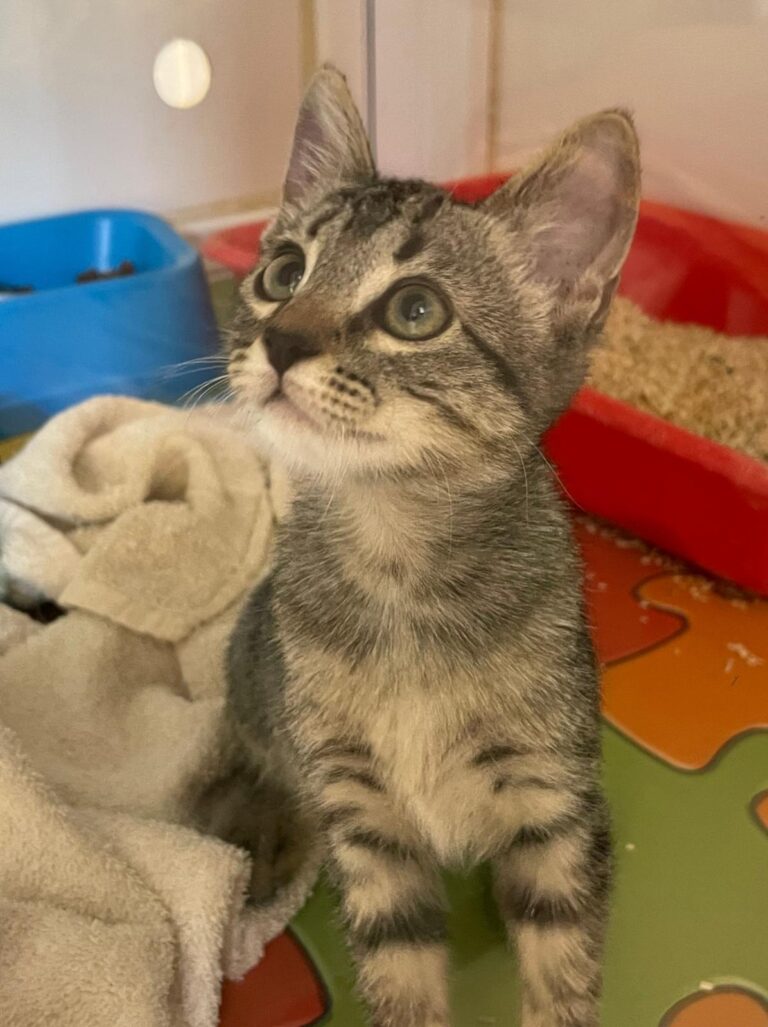 multimedia-foto90964-639-1