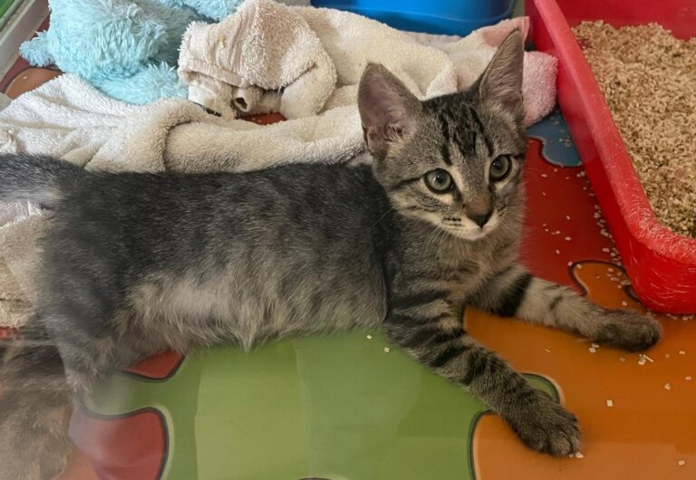 multimedia-foto90965-640-1