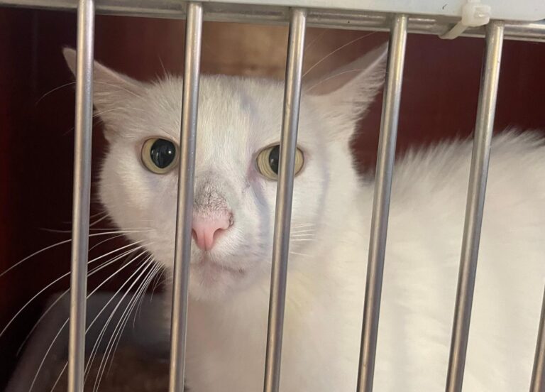 multimedia-foto90974-67-1