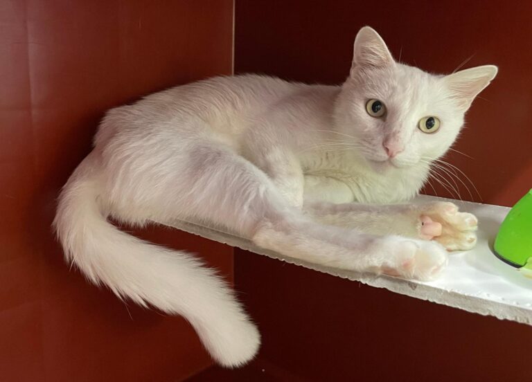 multimedia-foto90976-68-1