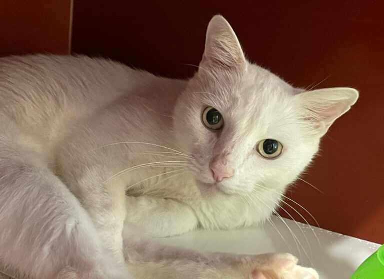 multimedia-foto90978-68-1