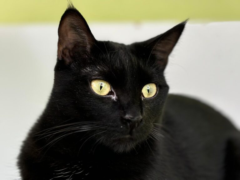 multimedia-foto90996-125-1