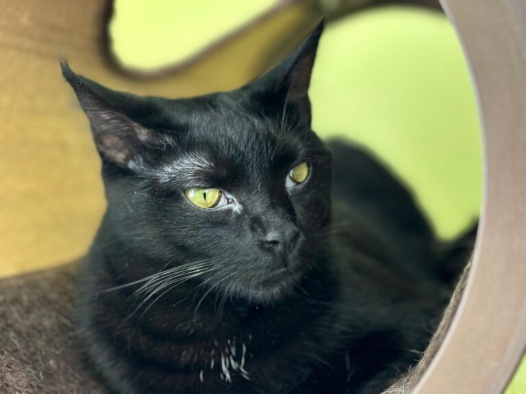 multimedia-foto90997-126-1