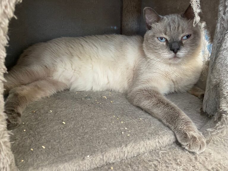 multimedia-foto91016-565-1