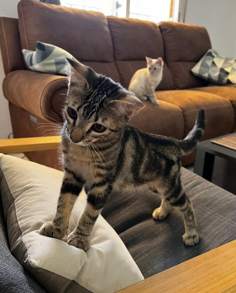 multimedia-foto91023-679-1