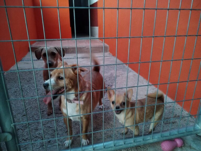 multimedia-foto91028-815-1